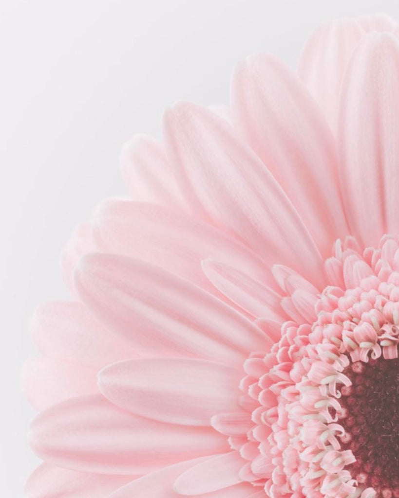 Beautiful nature 🌸
⠀
#sergeguillouxparis #colors #pink #flower #nature #beautiful #instagood #follow #trending #followers