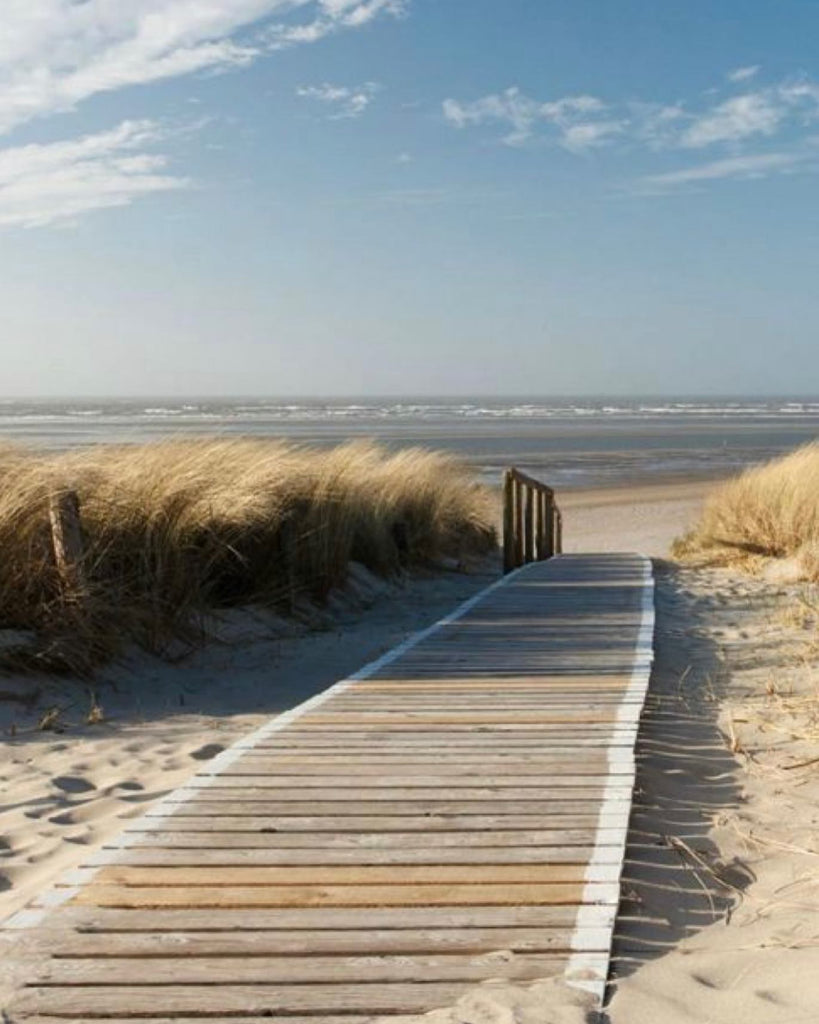 En route pour la plage 🏖 
⠀
#sergeguillouxparis #water #beach #letouquet #sea #path #nature #france #beautiful #instagood #follow #trending #followers